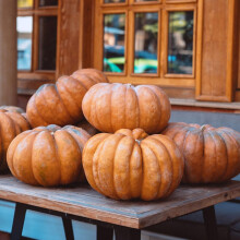 Pumpkin ‘Muscade de Provence’ Seeds – Classic Ribbed Italian Variety