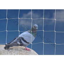 Bird Netting For the Garden 5m x 10m 50mm 2" Anti Pigeon Knotted Mesh Heavy Duty White Net Protection