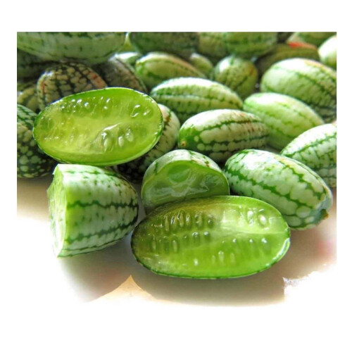 PREMIER SEEDS DIRECT - CUCAMELON - 65 Finest Seeds
