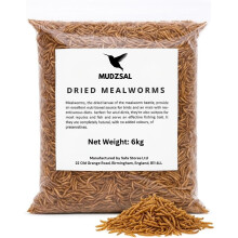 Premium Mealworms for Wild Birds – Natural High-Protein, High-Energy