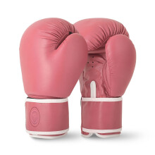 Lions Boxing Gloves MMA Punch Bag Training Mitts 6oz, 8oz, 10oz, 14oz, 16oz, Black, Pink, Red (Pink, 8 oz)