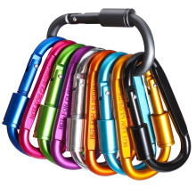 Pack of 10 Carabiner Clip, Caribeana Clips with Screw Lock Aluminium