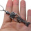 Hanger met zeemeerminskelet van legering 4