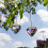 Μεταμορφώστε τον χώρο σας με το Crystal Suncatcher, το Rainbow Maker δημιουργεί μια συμφωνία 4