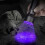 51 LEDs 395nm UV LED Flashlight, Support Detect Pet Urine 4