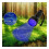 51 LEDs 395nm UV LED Flashlight, Support Detect Pet Urine 5