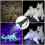 51 LEDs 395nm UV LED Flashlight, Support Detect Pet Urine 6