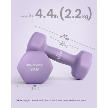(Ash Purple) Set of 2 Dumbbells, 2 x 2 kg Hand Weights with Neoprene Coating, Hexagonal Dumbbells Pair, Home Workout, Fitness Training Exercise