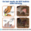 Coupe-griffes pour animaux de compagnie,Coupe-griffes pour lapin,chiot,chaton,petit chien, 4