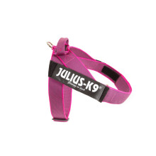Julius-K9, IDC Color & Gray Belt Harness, Size: XL / 2, Pink-Gray