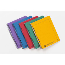 Clairefontaine 482/1124Z Set of 5 Notemakers Europa Spiral Notebooks A4+ 22,5x29,7 - 240 Lined Pages 4 Hole Perforated - Glossy Card Covers Random Col