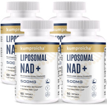 Liposomal NAD+ 500mg with TMG 250mg Softgels, Actual NAD+ Supplement for Cellular Repair & Energy Metabolism (60 Count (Pack of 4))
