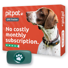 PitPat GPS Dog Tracker No Monthly Fees - Suitable for All Dogs And Fits All Collars - Smart Activity Tracker, Satellite Tracking With Unlimited Range