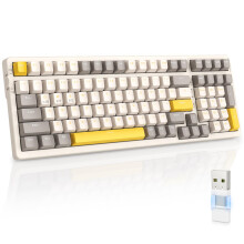 MAGIC-REFINER RK96 Wireless Mechanical Keyboard, Apex Pro TKL Gaming Keyboard, 2.4Ghz/Bluetooth 5.0 Dual Mode 2-in-1 Receiver 100 Key Hot Swap MX Keyb