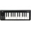 Korg - microKEY-25 USB MIDI Controller 1