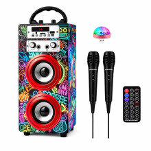 DYNASONIC Karaoke Machine with 2 Microphones, Portable Bluetooth Speaker with Lights, USB and SD Reader, Gift for Children (Model 21 lights)
