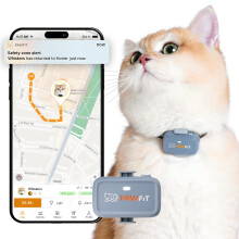 Pawfit Lite for Cats 4G GPS Tracker | World’s Smallest (