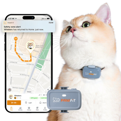 Pawfit Lite for Cats 4G GPS Tracker | World’s Smallest (