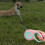 5m Small to Medium-Sized Dog Leash, Automatic Retractable Portable Pet Lead (Black) 2