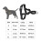 Glow Castle Pet Reflective Nylon Prevent Running Wild Chest Strap, Size: S(Black) 6