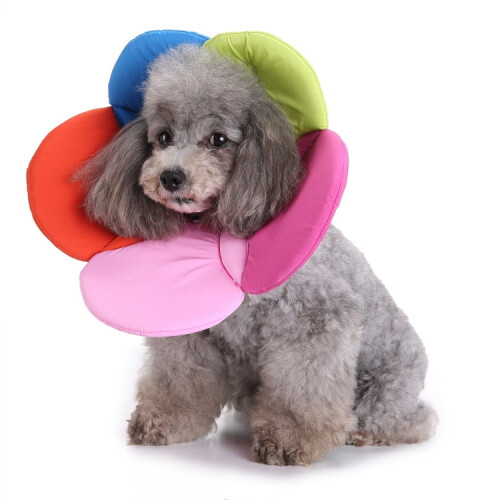 Προστατευτικό κολάρο για κατοικίδια, προστατευτικό κολάρο για λουλούδια σ 1
