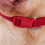 Doglemi Φίμωτρο Σκύλου Pet Supplies Αναπνεύσιμο Πώμα Γαβγίσματος Φίμωτρο Σκύλου, Προ 5