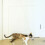 Retractable cat toy for hanging on doors (purple rabbit) 4