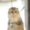 Retractable cat toy for hanging on doors (purple rabbit) 5