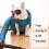Pet Dog Blower Cat Bathing Drying Box(S) 5