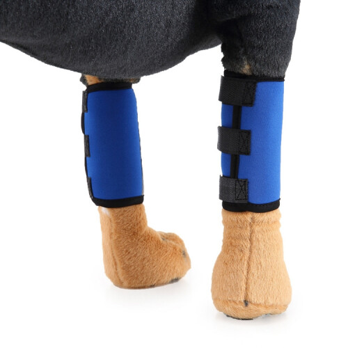 Pet Knee Protector Dog Surgery Injury Protective Cover, Size: S(Blue Reflection) 2