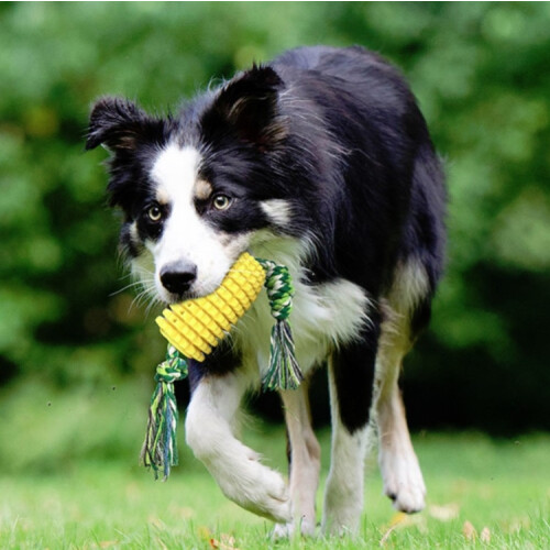Dog Teething Stick Pet Chewing Toy 1