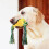 Dog Teething Stick Pet Chewing Toy 3