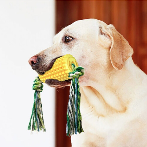 Dog Teething Stick Pet Chewing Toy 2