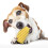 Dog Teething Stick Pet Chewing Toy 5