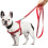 Small to medium-sized dog nylon reflective dog leash set, size: S (red) 4