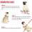 Small to medium-sized dog nylon reflective dog leash set, size: S (red) 5