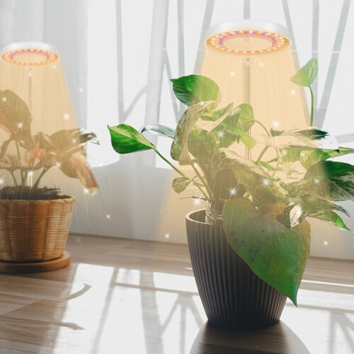 10W 48 LED's Angel Ring Groeilamp voor Succulenten 1