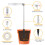 10W 48 LED's Angel Ring Groeilamp voor Succulenten 3