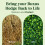 Green Guard Box Tree Caterpillar Treatment 50g – Fast-Acting, Revive 3