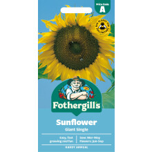 Fothergill's Sunflower Giant Single Flower Seeds, 75 Seeds, Helianthus Annuus, Yellow