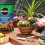 Miracle-Gro Miracle-Gro Premium Moisture Control Compost, 40 Litre 4