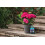 Westland Westland Hydrangea High Performance Liquid Plant Food 1 Litre 2