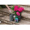 Westland Westland Hydrangea High Performance Liquid Plant Food 1 Litre 3