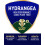 Westland Westland Hydrangea High Performance Liquid Plant Food 1 Litre 4