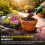TerraGrade Multipurpose Compost 60L | Premium Potting & Garden Soil 4