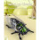 Jouet d'insecte de simulation en plastique durable, jouet à-brun 5