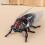 Jouet d'insecte de simulation en plastique durable, jouet à-brun 6