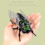 Jouet d'insecte de simulation en plastique durable, jouet à-brun 7