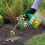 Roundup Roundup Total Fast Action Weed Killer, 1 Litre 2