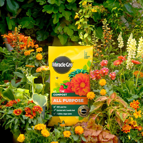 Miracle-Gro Miracle-Gro PEAT FREE Premium All Purpose Compost, 20 litre, Brown 1